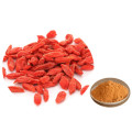 Polvo de jugo de fruta de Goji Berry kosher confiable